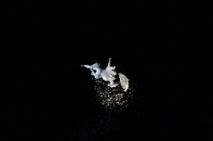 Place des Anges 5 * 3744 x 2496 * (1.36MB)
